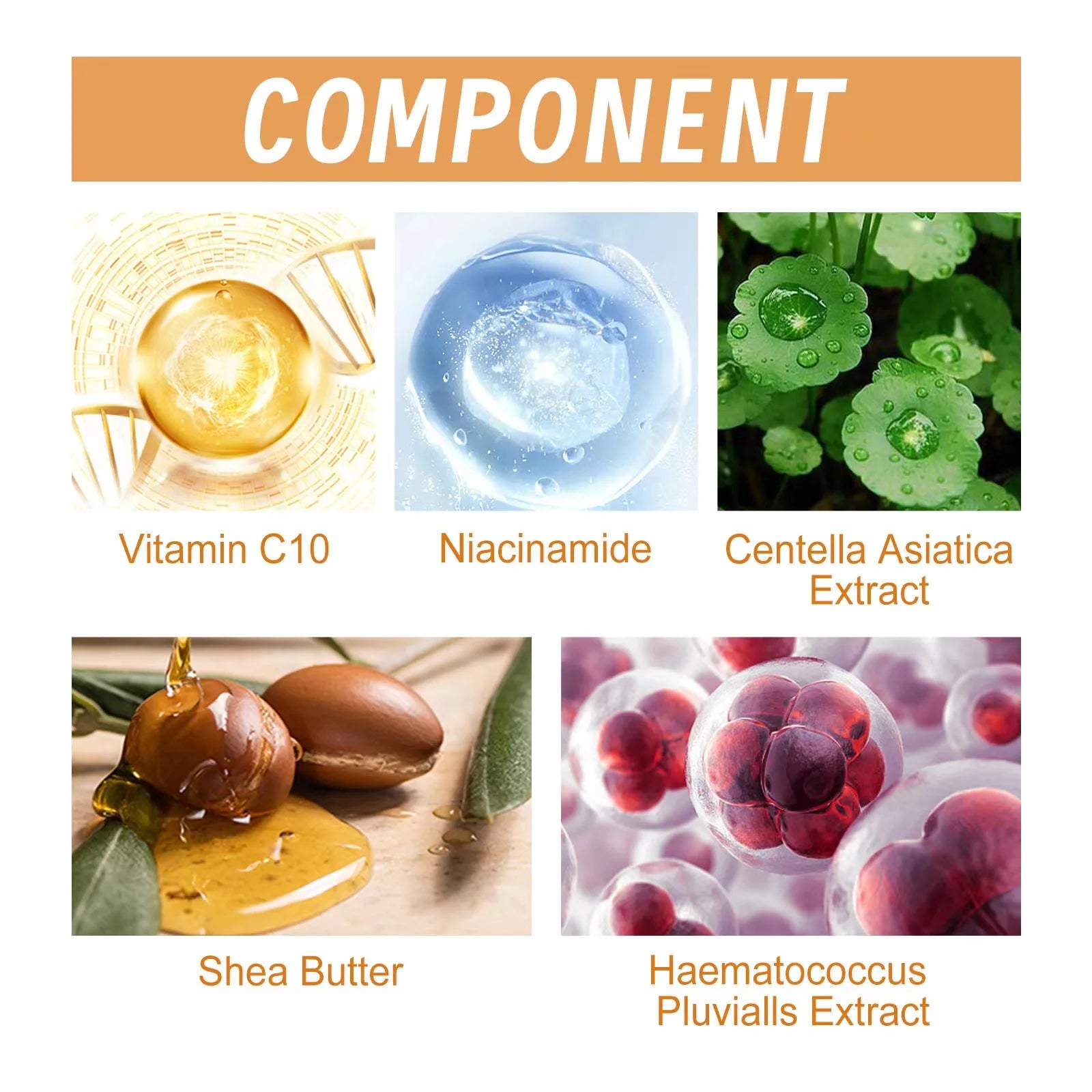 Vitamin C Face Serum – Wrinkle Remover