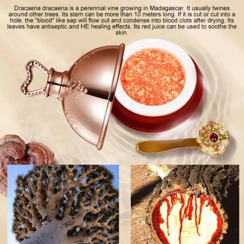 Dragon's Blood Face Cream – Retinol & Placenta Essence